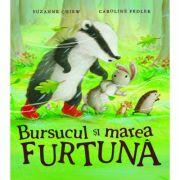 Bursucul si marea furtuna - Suzanne Chiew (ISBN: 9786067043563)