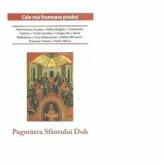 Pogorarea Sfantului Duh. Cele mai frumoase predici - Petroniu Tanase, Boris Raduleanu, Pr Constantin Galeriu, Bartolemeu Anania (ISBN: 9786068756318)