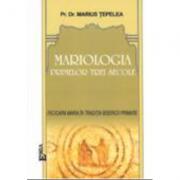 Mariologia primelor trei secole - Marius Tepelea (ISBN: 9789738164437)