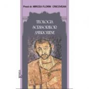 Teologia scrisorilor ambroziene - Mircea Florin Cricovean (ISBN: 9789737530073)