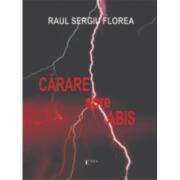 Carare spre abis - Raul Sergiu Florea (ISBN: 9789737532312)
