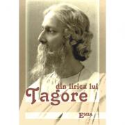 Din lirica lui Tagore - Rabindranath Tagore (ISBN: 9789738164512)