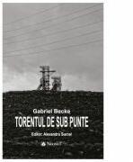 Torentul de sub punte - Gabriel Becke, Alexandru Surcel (ISBN: 9789731098265)