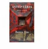Asteptaria - proza scurta - Borco Ilin (ISBN: 9786067260410)