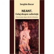 Neant. Colaj despre suferinta - primul roman despre SIDA-HIV in Romania - Serghie Bucur (ISBN: 9786067113730)