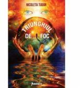 Triunghiul de foc - Nicoleta Tudor (ISBN: 9786068894874)