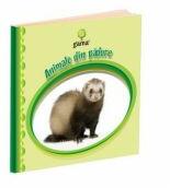 e-Bebe istet - Animale din padure (ISBN: 9789731492063)