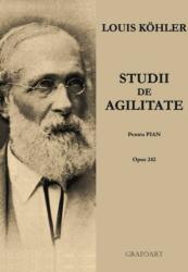 Studii de Agilitate (ISBN: 6422374002468)