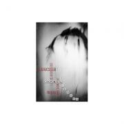 Structuri pentru demolat gala - Carmen Nicoara (ISBN: 9786067112757)