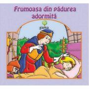 Carti pliante mari - Frumoasa din padurea adormita (ISBN: 9789737824738)
