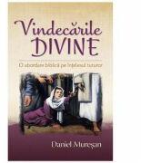 Vindecarile divine - Daniel Muresan (ISBN: 9786067320459)
