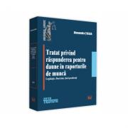 Tratat privind raspunderea pentru daune in raporturile de munca. Legislatie. Doctrina. Jurisprudenta - Alexandru Ticlea (ISBN: 9786063904080)