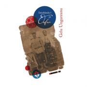 Intrebandu-l pe Orfeu - Gelu Ungureanu (ISBN: 9786064903358)