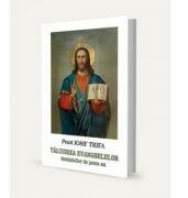 Talcuirea evangheliilor duminicilor de peste an - Iosif Trifa (ISBN: 9789737103390)