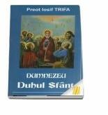 Dumnezeu Duhul Sfant - Iosif Trifa (ISBN: 9789737100948)