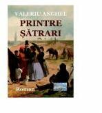 Printre satrari. Roman - Valeriu Anghel (ISBN: 9786067169775)