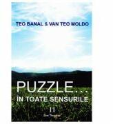 Puzzle. . . In toate sensurile vol. 2 - Teo Banal, Van Teo Moldo (ISBN: 9786067303063)