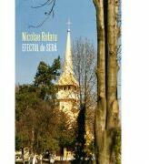 Efectul de sera - Nicolae Rotaru (ISBN: 9786067494204)
