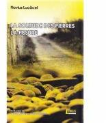 La solitude des pierres. La fissure - Flavius Lucacel (ISBN: 9786067990348)