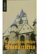 Kurze Geschichte Rumaniens - Ion Bulei (ISBN: 9789737839657)