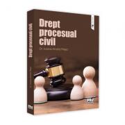 Drept procesual civil 2019 - Ioana- Andra Plesa (ISBN: 9786062610593)