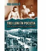 Trei luni in Pocutia. Actiuni ale Diviziei 8 Infanterie (23 mai-24 august 1919) - Ion Giurca (ISBN: 9789733211327)