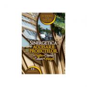 Sinergetica accesarii proiectelor: pregatire, elaborare, evaluare, optimizare - Ion Vasilescu, Claudiu Cicea, Cristian Bușu (ISBN: 9789737096685)