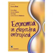 Economia in clepsidra entropica - Florina Bran, Gheorghe Manea, Ildikó Ioan, Carmen Valentina Radulescu (ISBN: 9789737097361)