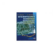 Eficientizarea economiei romanesti postsocialiste. De ce? Se poate? Cum? - Ioan D. Adumitracesei, Niculae G. Niculescu (ISBN: 9789735903541)