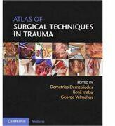 Atlas of Surgical Techniques in Trauma - Demetrios Demetriades, Kenji Inaba, George Velmahos (ISBN: 9781107044593)