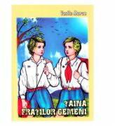 Taina fratilor gemeni - Vasile Marcu (ISBN: 9789738440050)