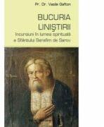 Bucuria linistirii - Vasile Gafton (ISBN: 9786069890462)