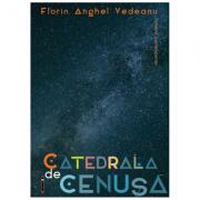 Catedrala de cenusa - Florin Anghel Vedeanu (ISBN: 9786064902054)
