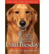 Until Tuesday: A Wounded Warrior and the Golden Retriever Who Saved Him - Luis Carlos Montalvan, Bret Witter (ISBN: 9781401310752)