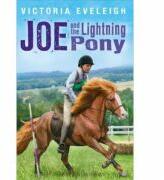Joe and the Lightning Pony - Victoria Eveleigh (ISBN: 9781444005929)