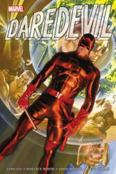 Daredevil Omnibus Vol. 1 - Stan Lee, Dennis O'Neil (ISBN: 9781302904272)