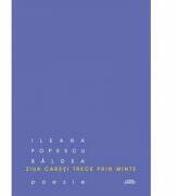 Ziua care-ti trece prin minte - Ileana Popescu Baldea (ISBN: 9786061512829)