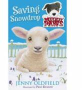 Saving Snowdrop - Jenny Oldfield (ISBN: 9781444913217)