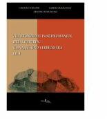 Zur Bronzezeit in Südrumamanien. Drei Kulturen: Glina, Tei und Verbicioara, Bd. I - Cristian Schuster, Cristinel Fantaneanu, Gabriel Craciunescu (ISBN: 9789737925657)