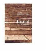 Jurnal de debutant - Cristian Fulas (ISBN: 9786066645515)