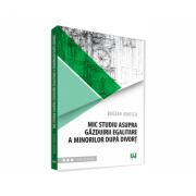 Mic studiu asupra gazduirii egalitare a minorilor dupa divort - Bogdan Ionescu (ISBN: 9786063902710)