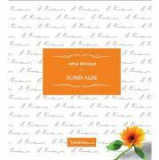 Scrieri alese - Arthur Rimbaud (ISBN: 9789731163475)