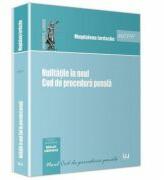 Nulitatile in noul Cod de procedura penala - Magdalena Iordache (ISBN: 9786066736251)