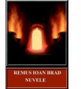 Nuvele - Remus Ioan Brad (ISBN: 9786067166514)