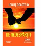 De nedespartit - Ionut Colotelo (ISBN: 9786069961018)