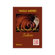 In numele tau, iubire - Andrei Vasile (ISBN: 9781984939975)