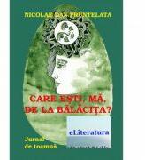 Care esti, ma, de la Balacita? Jurnal de toamna - Nicolae Dan Fruntelata (ISBN: 9786067003956)
