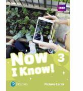 Now I Know! 3 Picture Cards - Jeanne Perrett (ISBN: 9781292219486)