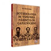 Soteriologia in viziunea Parintilor Capadocieni - Viorel Irimia (ISBN: 9786062612061)