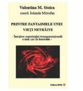 Printre fantasmele unei vieti netraite - Valentina M. Stoica (ISBN: 9789738383982)